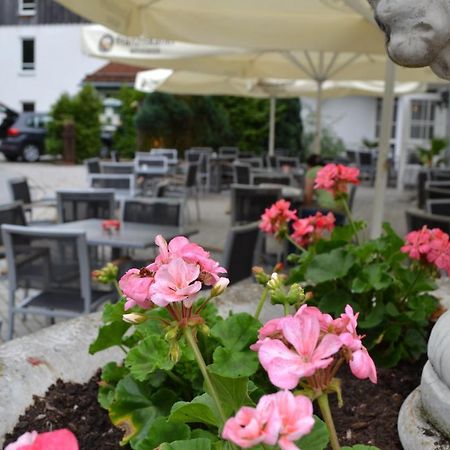 Hotel Am Pfahl Viechtach Extérieur photo